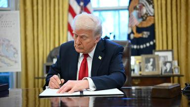 Trump verhängt Autozölle - weitere könnten folgen