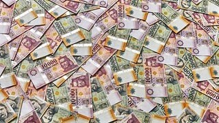 Zebras, Zecken und Milliarden: Fidesz-Luxus in der Kritik