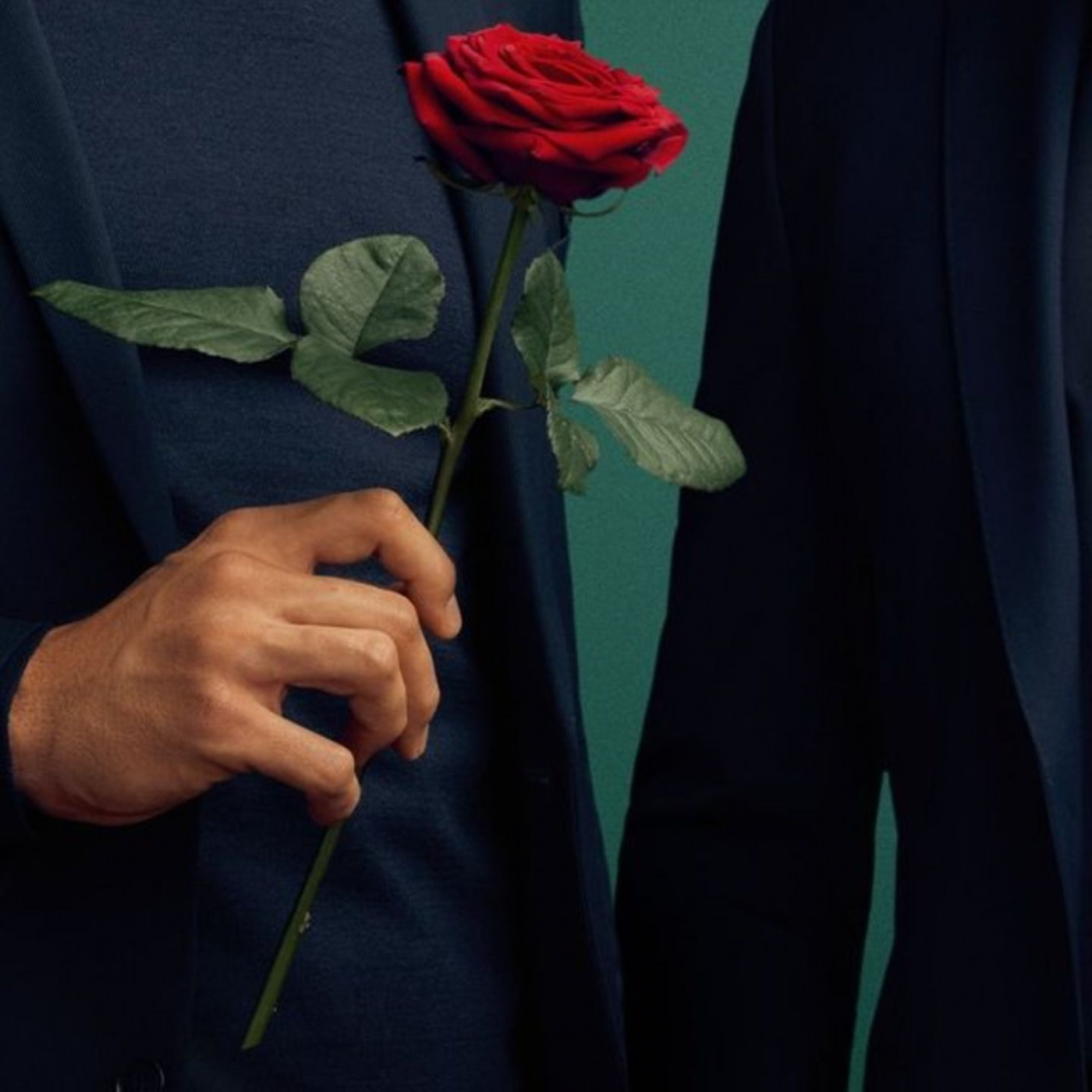 Die neuen Rosenkavaliere sind schon Väter