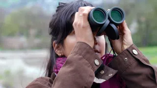 Birdwatching-Boom: «Vögel geben mir einen Adrenalin-Kick»