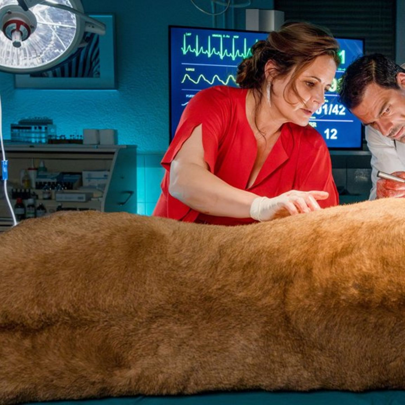 TV-Tipps am Dienstag