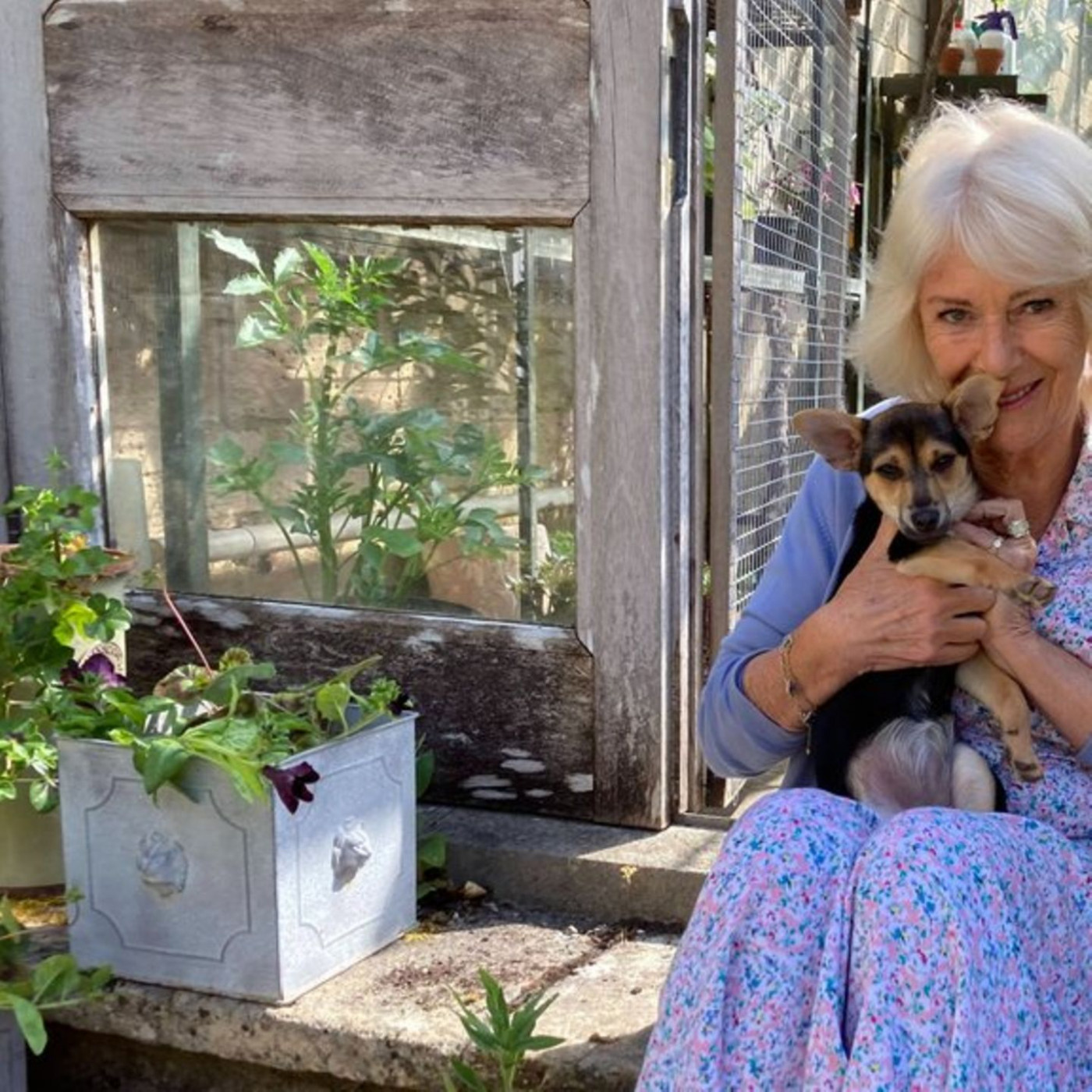 Königin Camilla zeigt ihren Hund Moley