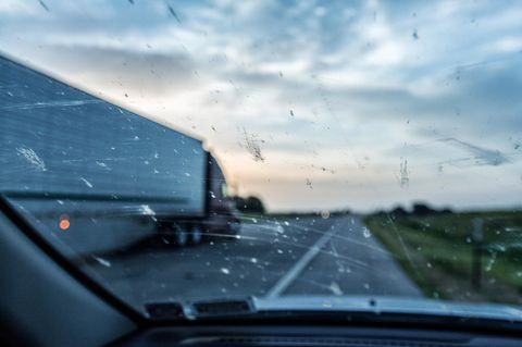 Verschmierte Autoscheiben? So entfernen Sie hartnäckige Insektenrückstände