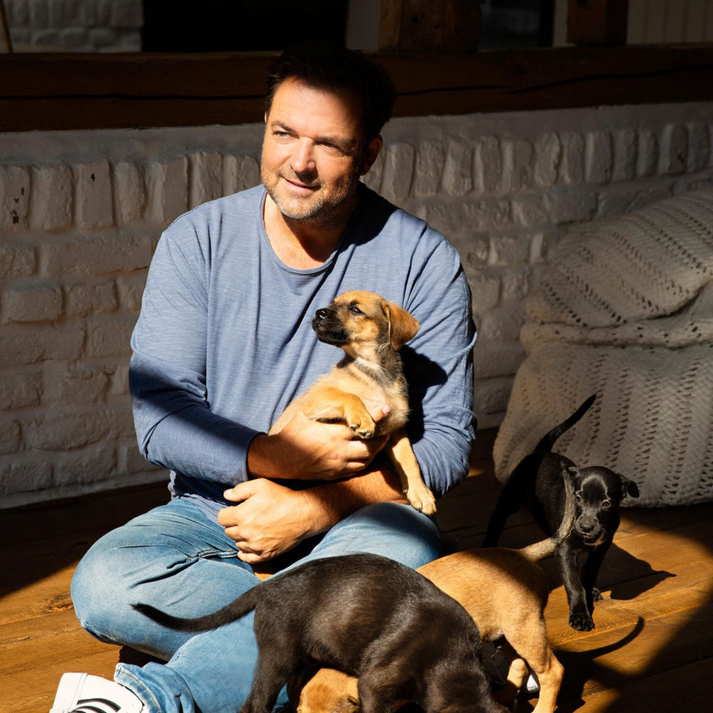 Hundetrainer Martin Rütter: Das sind die drei größten Erziehungsfehler