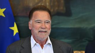 Schwarzeneggers Stimme macht die Runde