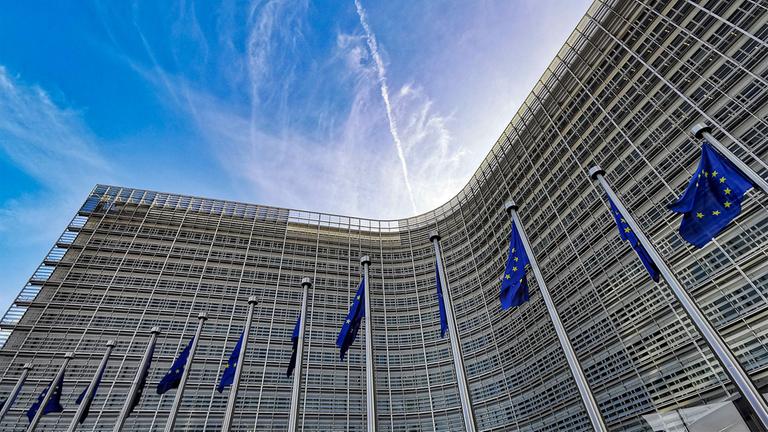 NGOs im Auftrag der EU-Kommission aktiv?