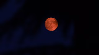 Der Vollmond im Juni ist ein Brachmond