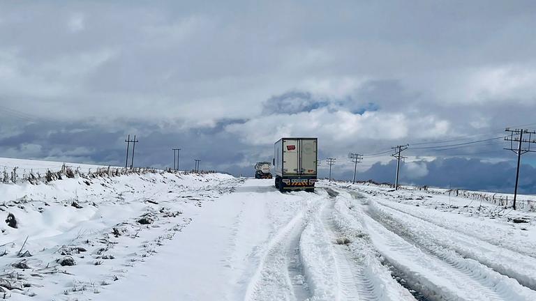 Schneestürme legen Teile Südafrikas lahm