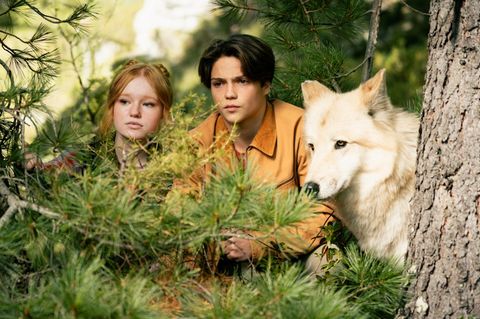 Millionen Kinder lesen diese Bücher: Wer steckt hinter dem Phänomen "Woodwalkers"