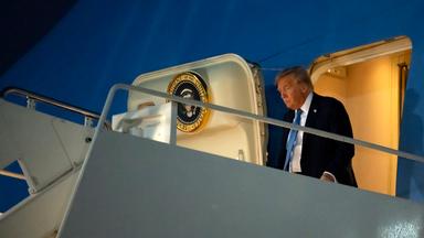 Was plant Trump?