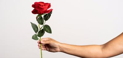 Wie ich mich einmal bei der „Bachelorette“ bewarb. Und warum das schiefging
