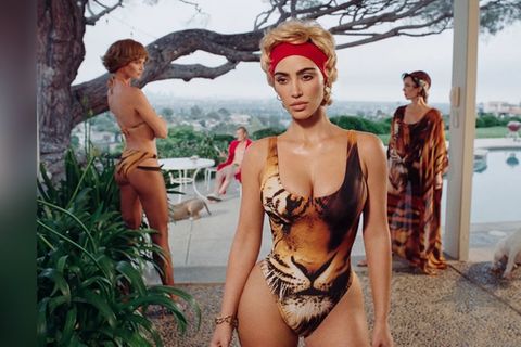 So kam es zur Kollektion mit Roberto Cavalli
