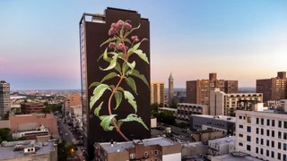 Rebellieren war gestern: die neue Rolle der Street Art