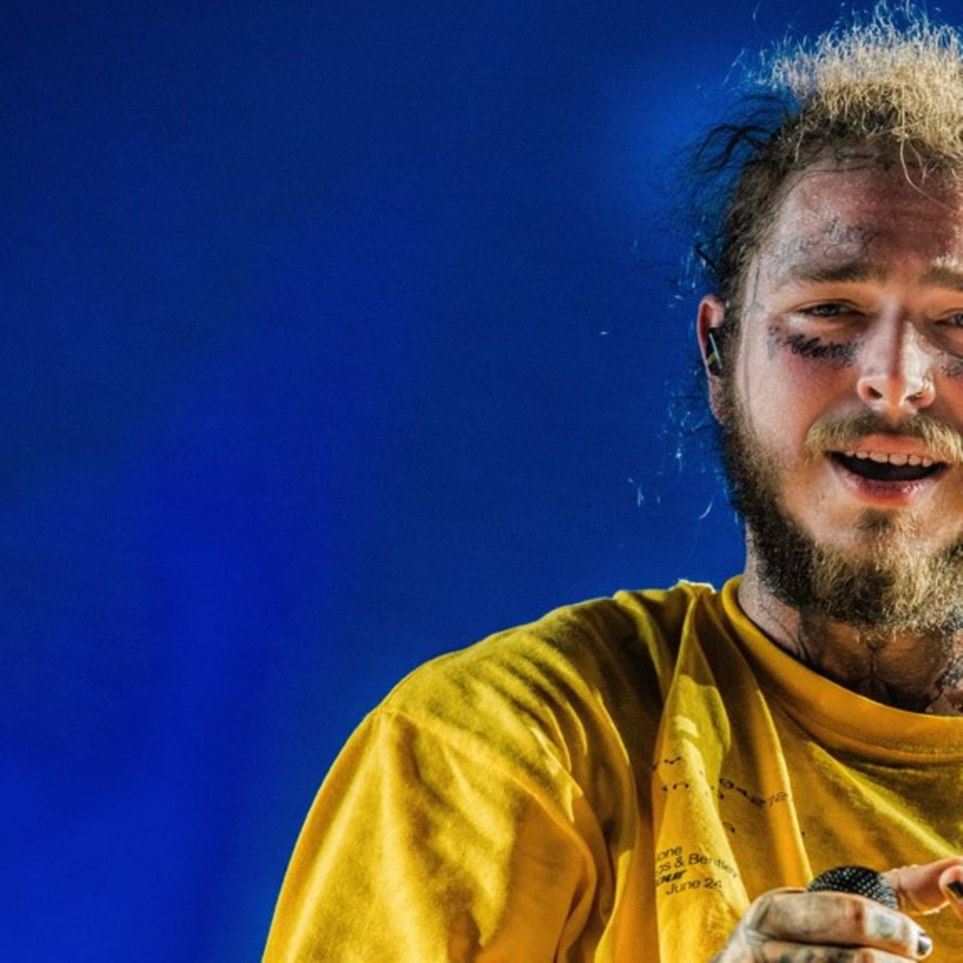 Musiker stürzt während Konzert von der Bühne
