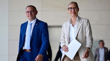 AfD wirft Regierung "Wortbruch" vor