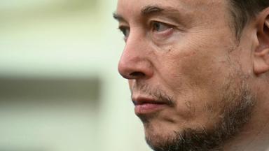 Musk gründet eigene Partei