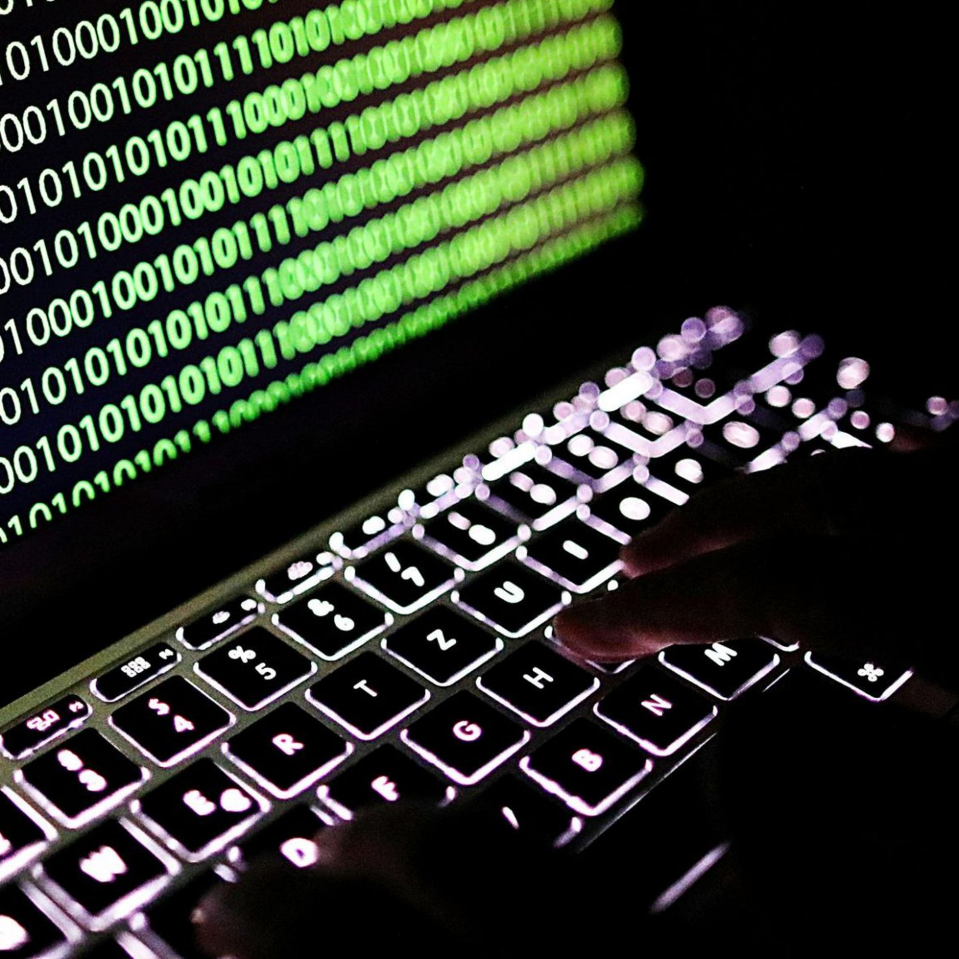 Prorussische Hackergruppe greift Landesportal von Sachsen-Anhalt an