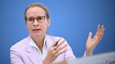 "Das ist kein Fall Guttenberg"