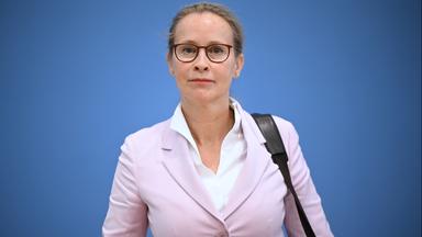 Gutachten entlastet Brosius-Gersdorf von Plagiatsvorwurf