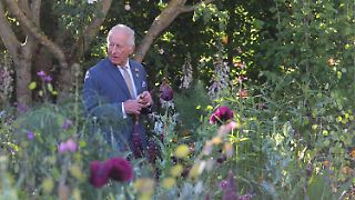 König Charles laufen seine Gärtner weg