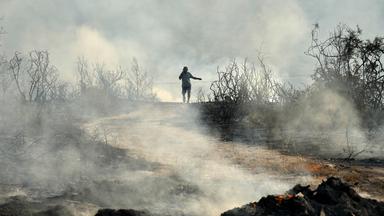 Tote bei Waldbränden in der Türkei und auf Zypern