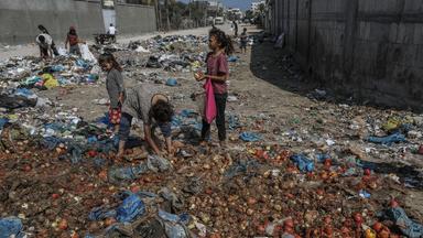 Millionen Menschen hungern weltweit