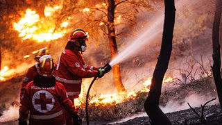 Südeuropa: Waldbrandgefahr durch Hitze und Trockenheit