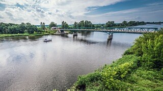 Fischbestand in Oder wächst – Risiko durch Goldalge bleibt