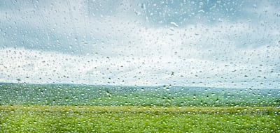 Hymne an den verregneten Sommer