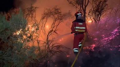 Evakuierungen wegen Waldbränden in Spanien