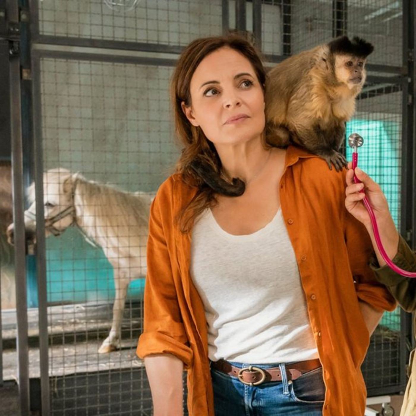 TV-Tipps am Dienstag
