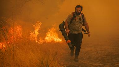 Portugal bittet EU um Hilfe im Kampf gegen Waldbrände