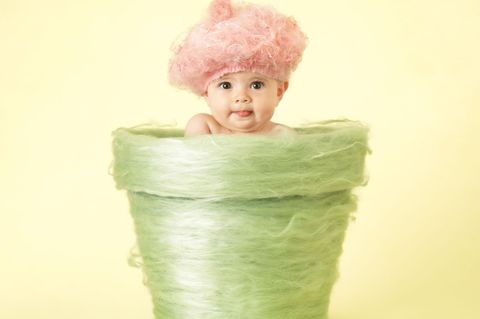 "Das ist meine ultimative Rache": Anne Geddes über ihre Babyfotos