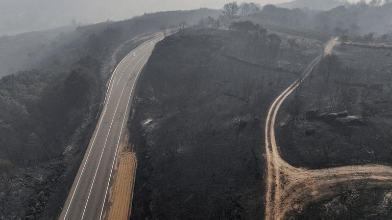 Waldbrände zerstören eine Million Hektar Land