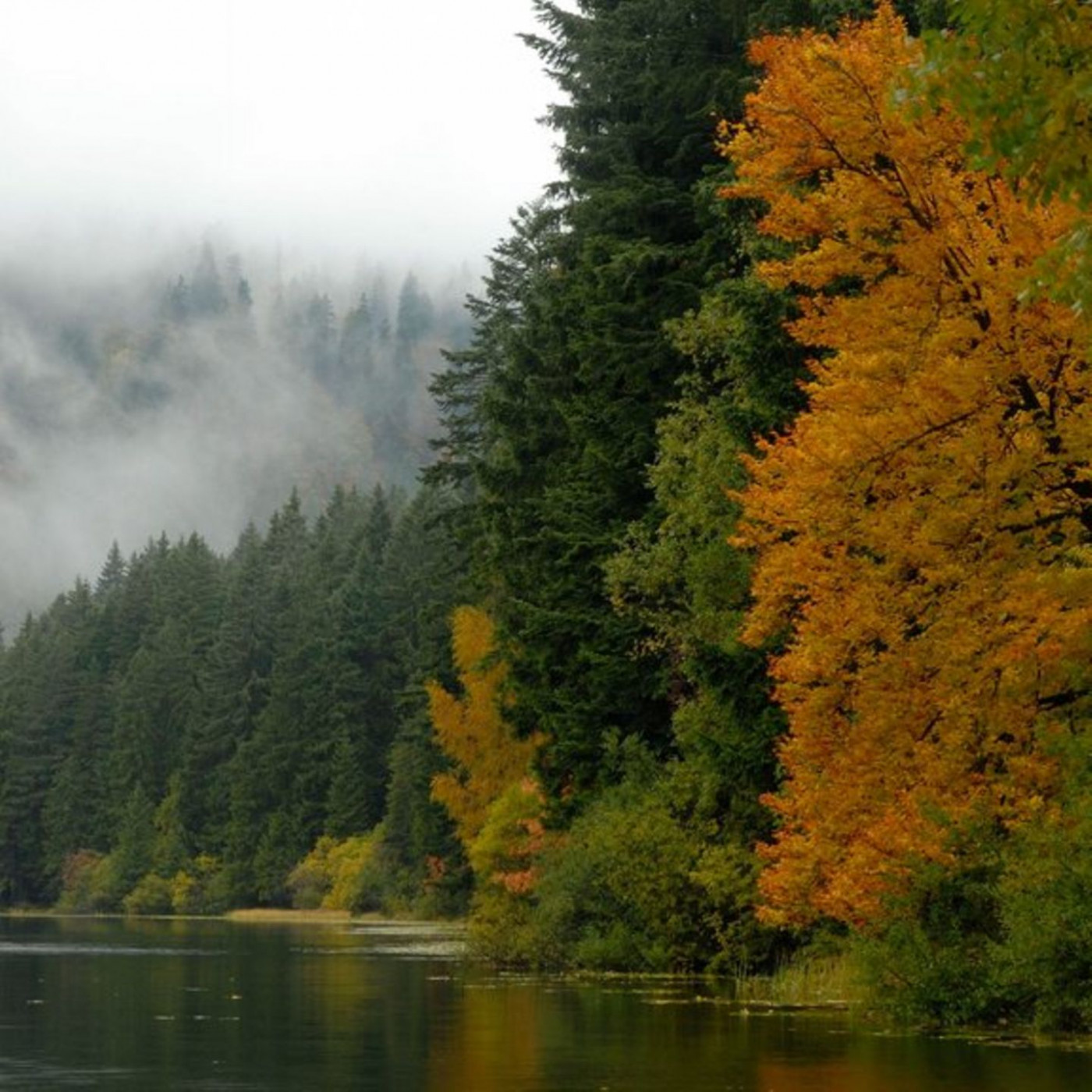 Die Natur im Herbst genießen