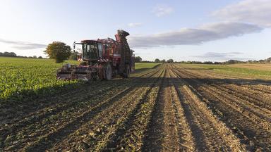 Der Balanceakt der Landwirtschaft
