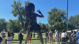 Statue von Tina Turner sorgt für Entsetzen