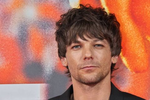 One-Direction-Star kündigt Tournee an