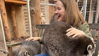 Ricarda Lang hat ein Herz für Waschbären