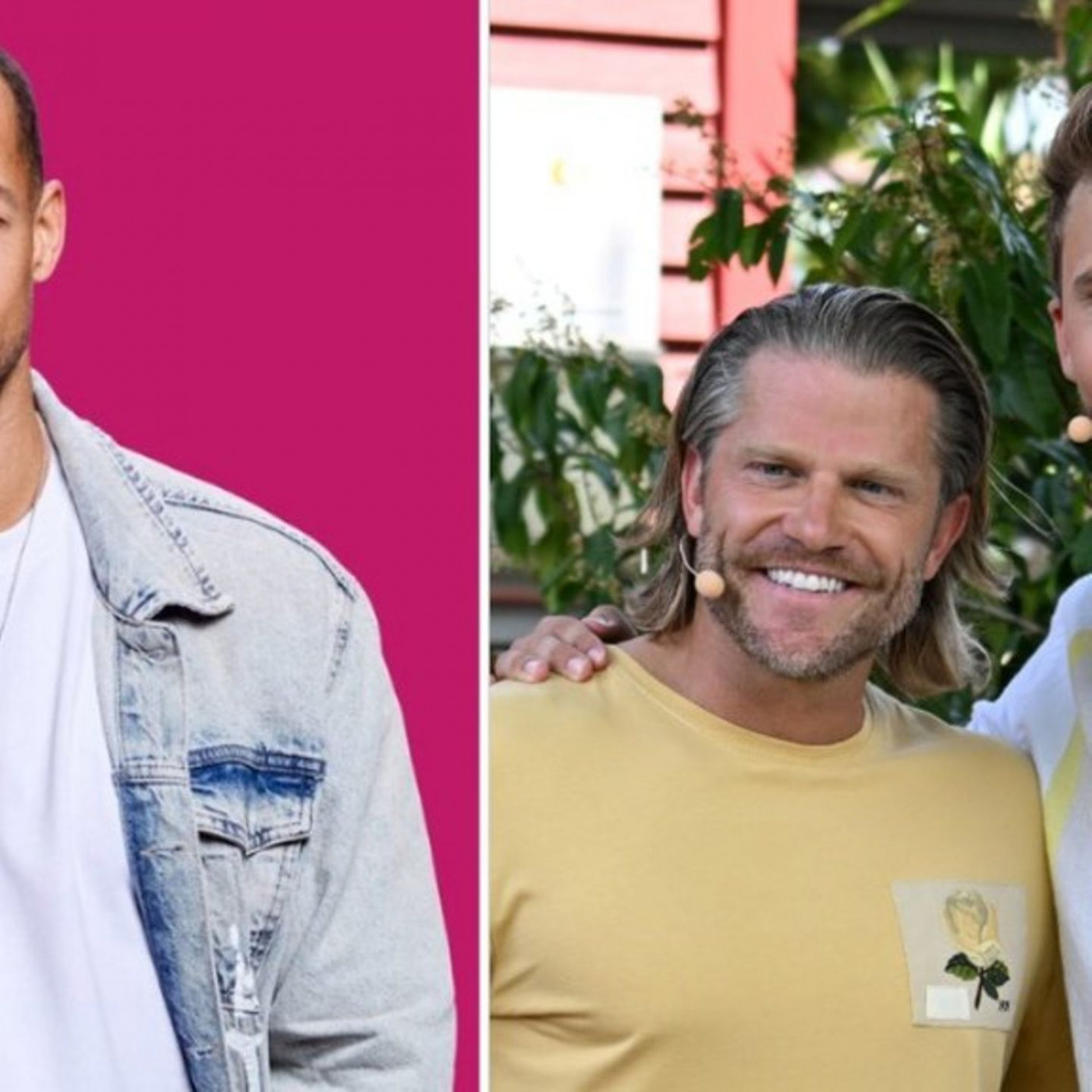 Diese "Bachelor"-Stars waren auch in der Show