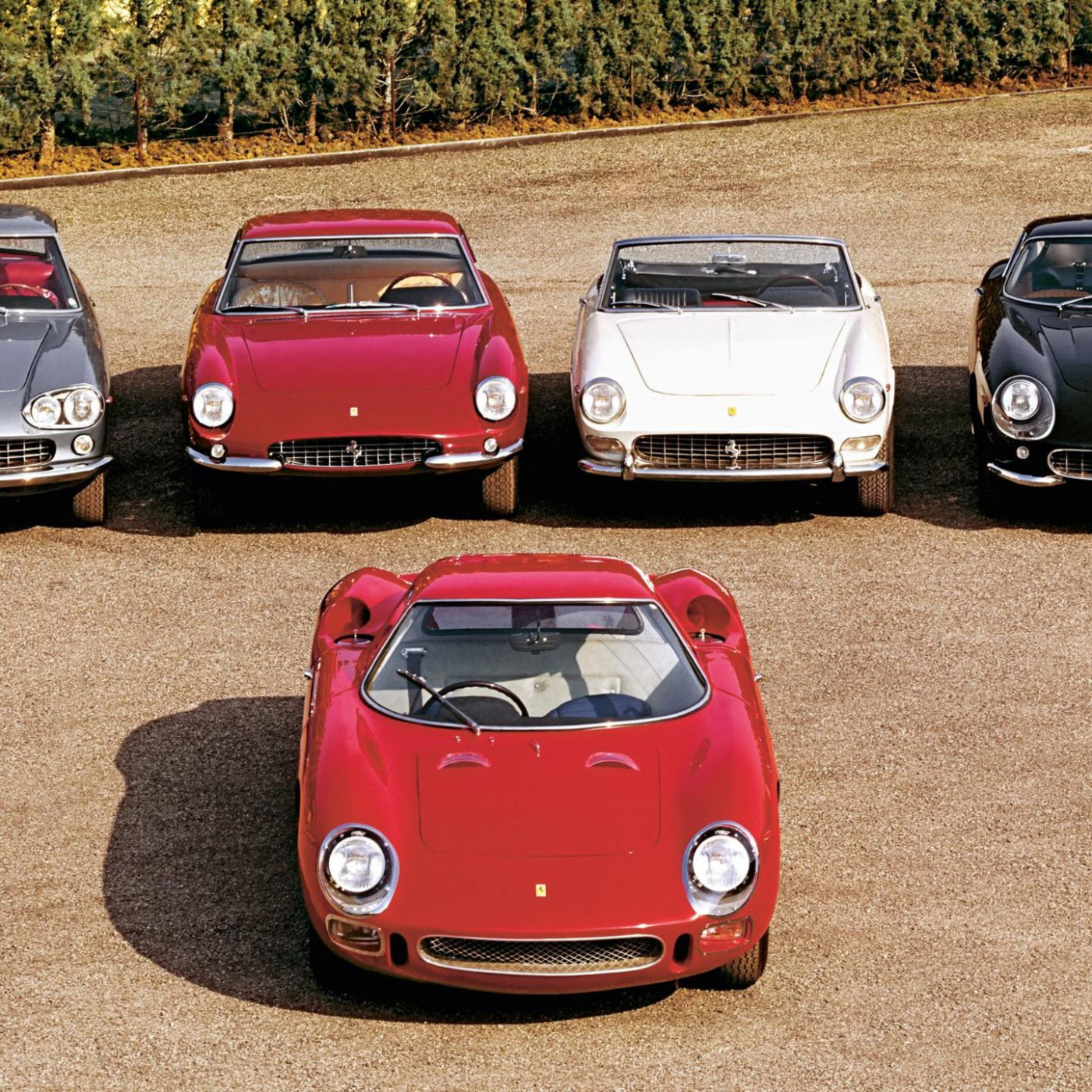 Forza Ferrari: Einzigartige Einblicke in die Welt einer Legende