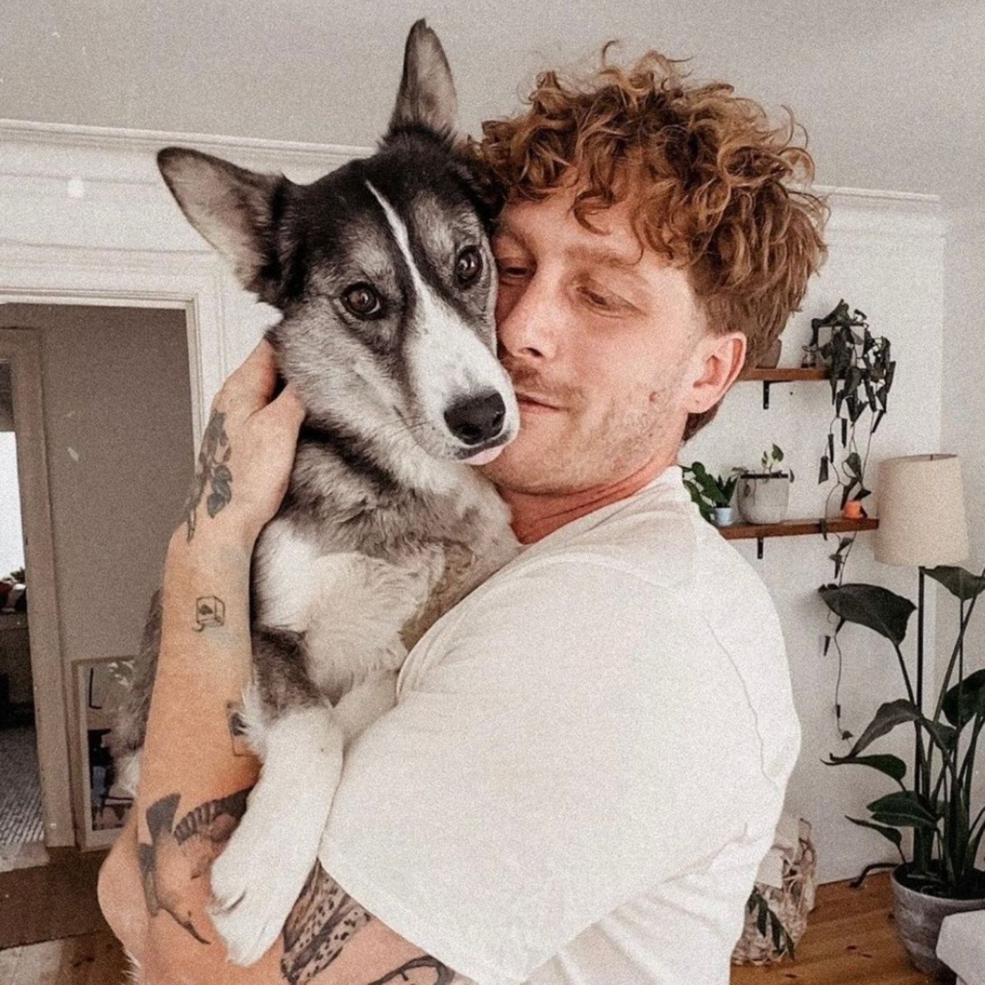 Influencer will Regenwald retten – und bringt Spendenseite zum Absturz