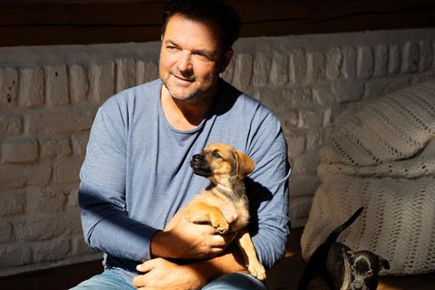Hundetrainer Martin Rütter: Das sind die drei größten Erziehungsfehler