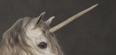 Einhorn gesichtet!