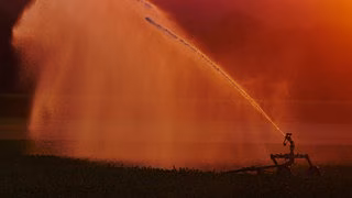 Halbe Dürre: Hat es 2025 in Deutschland genug geregnet?