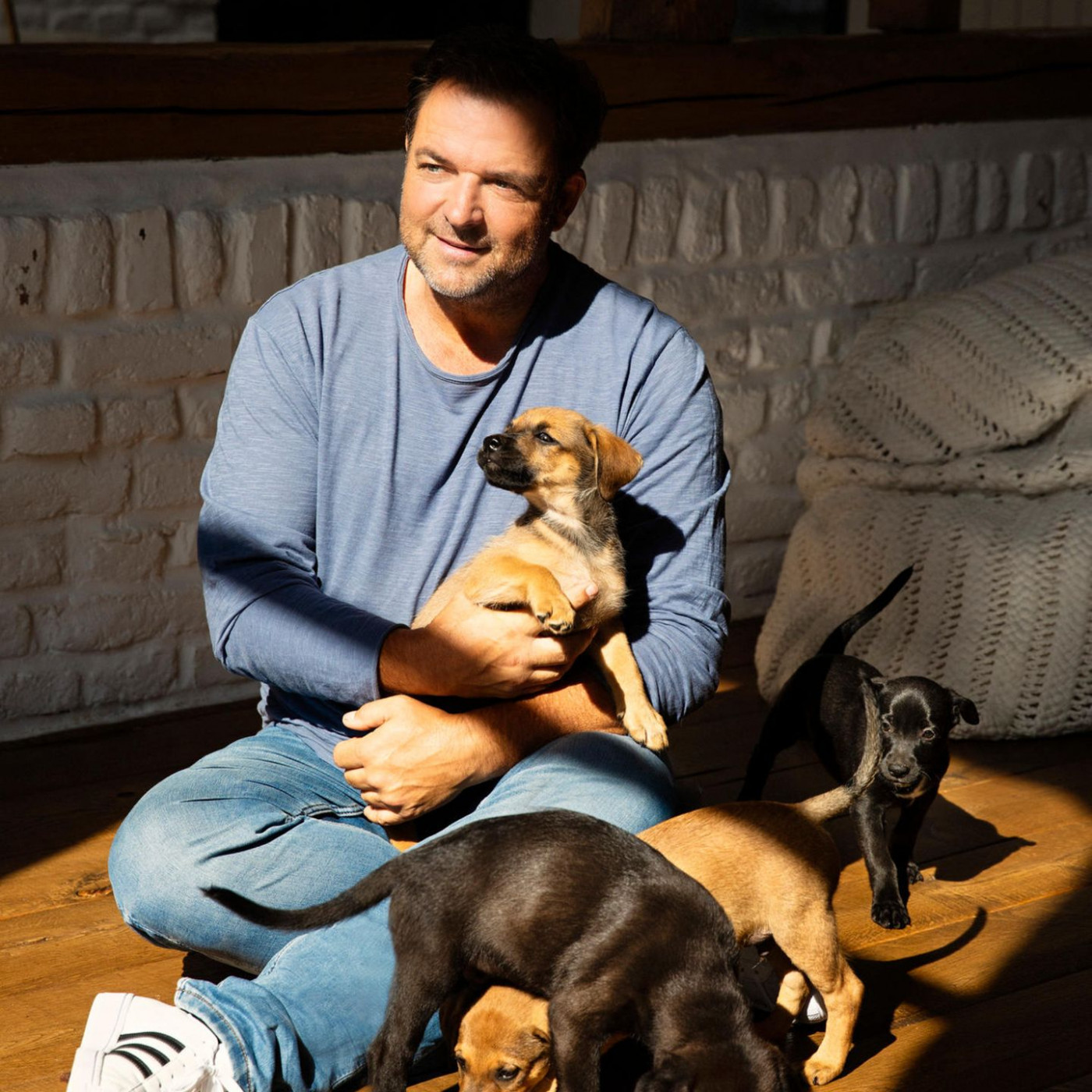 Hundetrainer Martin Rütter: Das sind die drei größten Erziehungsfehler