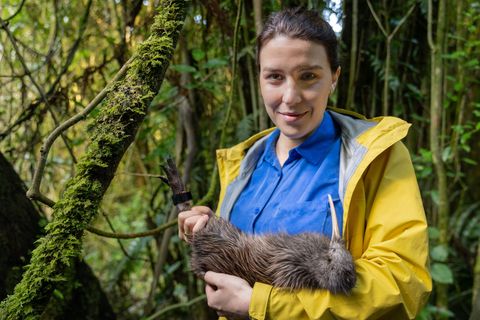 Töten für den Artenschutz?