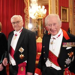 Steinmeier diniert mit König Charles III. wie bei der Serie "Downton Abbey"