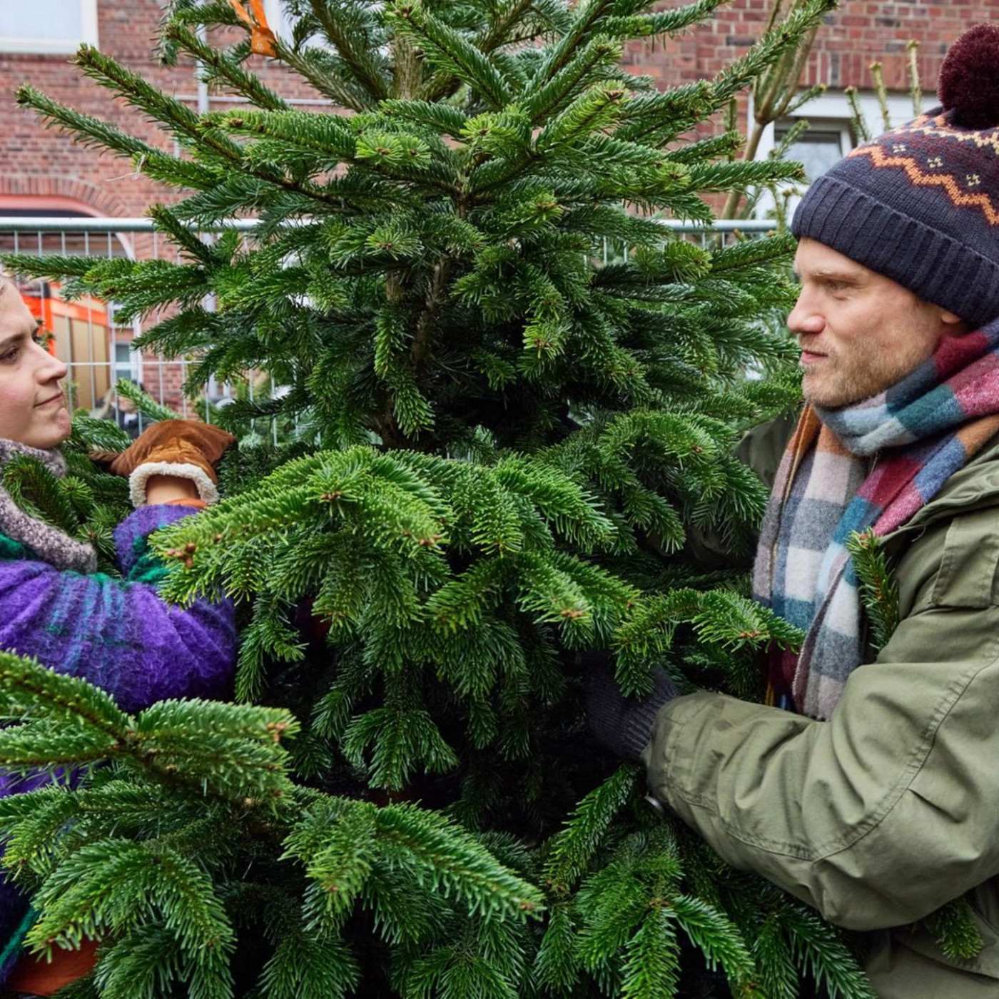 Wenn statt Schneeflocken die Fetzen fliegen