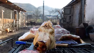 Schwein statt Gans und Ente: Weihnachtsschmaus in Rum&auml;nien